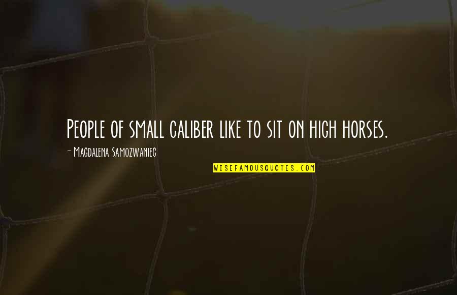 Like Horses Quotes By Magdalena Samozwaniec: People of small caliber like to sit on