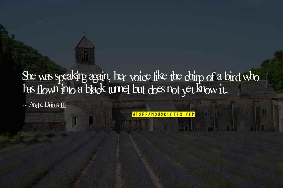 Like The Bird Quotes By Andre Dubus III: She was speaking again, her voice like the