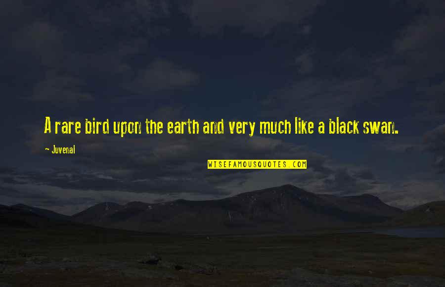 Like The Bird Quotes By Juvenal: A rare bird upon the earth and very