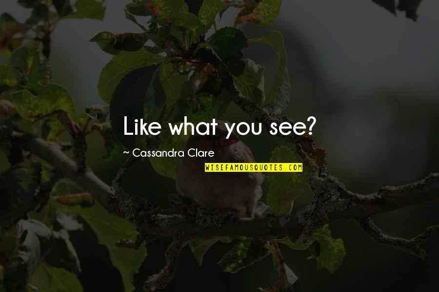 Like What You See Quotes By Cassandra Clare: Like what you see?