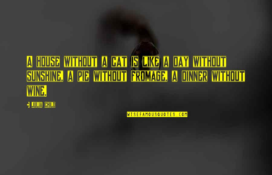 Like Wine Quotes By Julia Child: A house without a cat is like a Like Wine Quotes By Julia Child: A house without a cat is like a