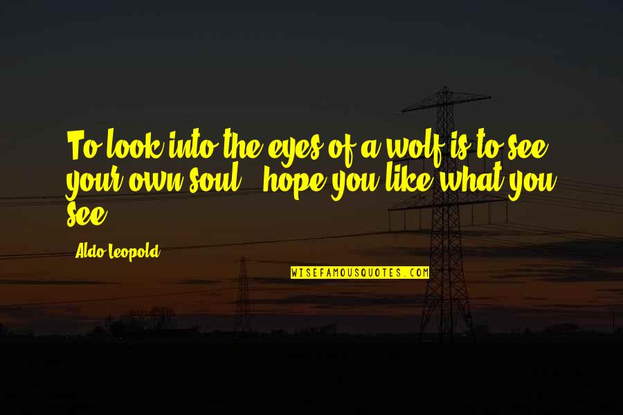 Like Your Soul Quotes By Aldo Leopold: To look into the eyes of a wolf Like Your Soul Quotes By Aldo Leopold: To look into the eyes of a wolf