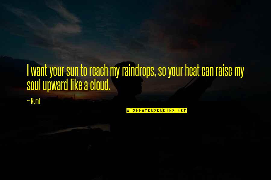 Like Your Soul Quotes By Rumi: I want your sun to reach my raindrops,