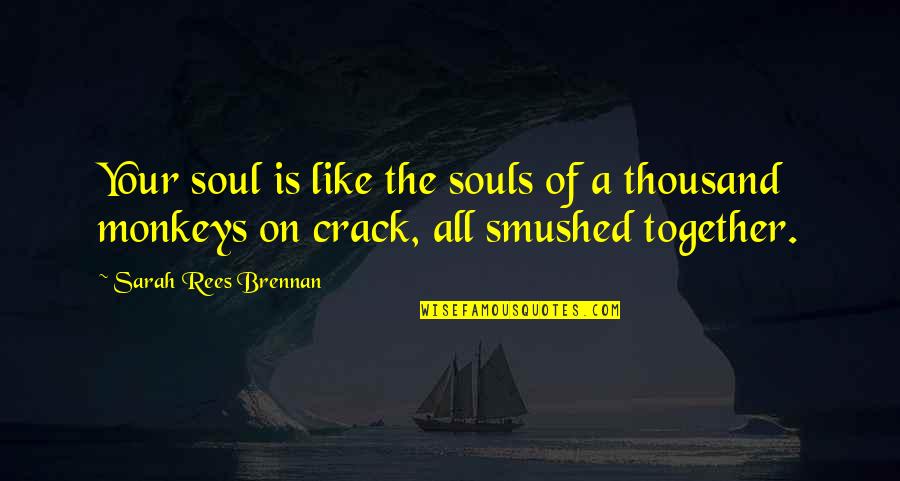 Like Your Soul Quotes By Sarah Rees Brennan: Your soul is like the souls of a Like Your Soul Quotes By Sarah Rees Brennan: Your soul is like the souls of a