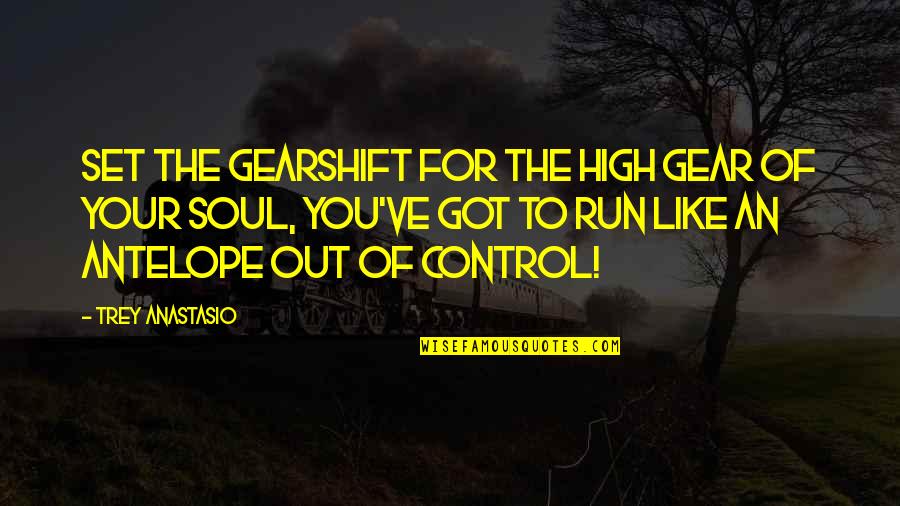 Like Your Soul Quotes By Trey Anastasio: Set the gearshift for the high gear of Like Your Soul Quotes By Trey Anastasio: Set the gearshift for the high gear of