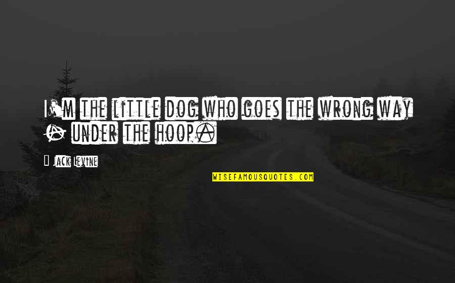 Likelihoods Quotes By Jack Levine: I'm the little dog who goes the wrong