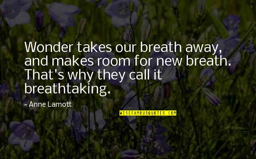 Likes And Comments Quotes By Anne Lamott: Wonder takes our breath away, and makes room