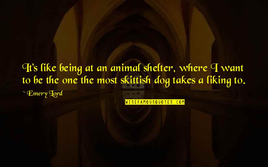 Liking It Quotes By Emery Lord: It's like being at an animal shelter, where Liking It Quotes By Emery Lord: It's like being at an animal shelter, where