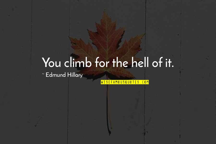 Liking Me For Who I Am Quotes By Edmund Hillary: You climb for the hell of it.