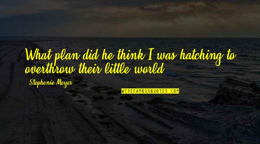 Liking Someone You Have No Chance With Quotes By Stephenie Meyer: What plan did he think I was hatching