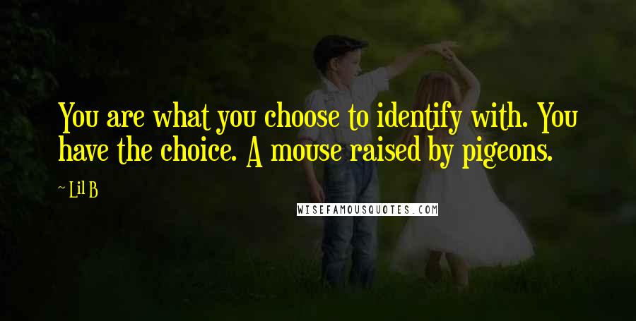 Lil B quotes: You are what you choose to identify with. You have the choice. A mouse raised by pigeons.