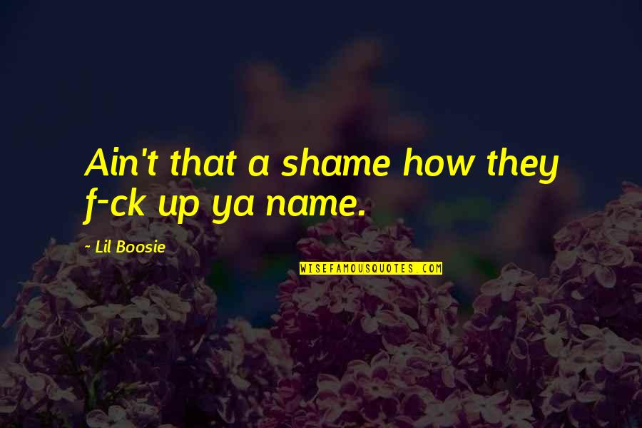 Lil Boosie Quotes By Lil Boosie: Ain't that a shame how they f-ck up