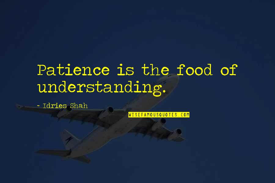 Lil Dicky Song Quotes By Idries Shah: Patience is the food of understanding.