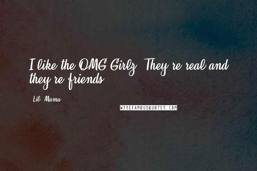 Lil' Mama quotes: I like the OMG Girlz. They're real and they're friends.