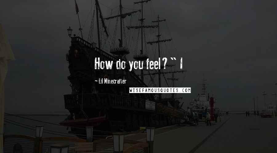 Lil Minecrafter quotes: How do you feel?" I