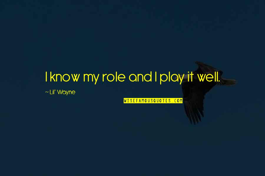 Lil Wayne Quotes By Lil' Wayne: I know my role and I play it