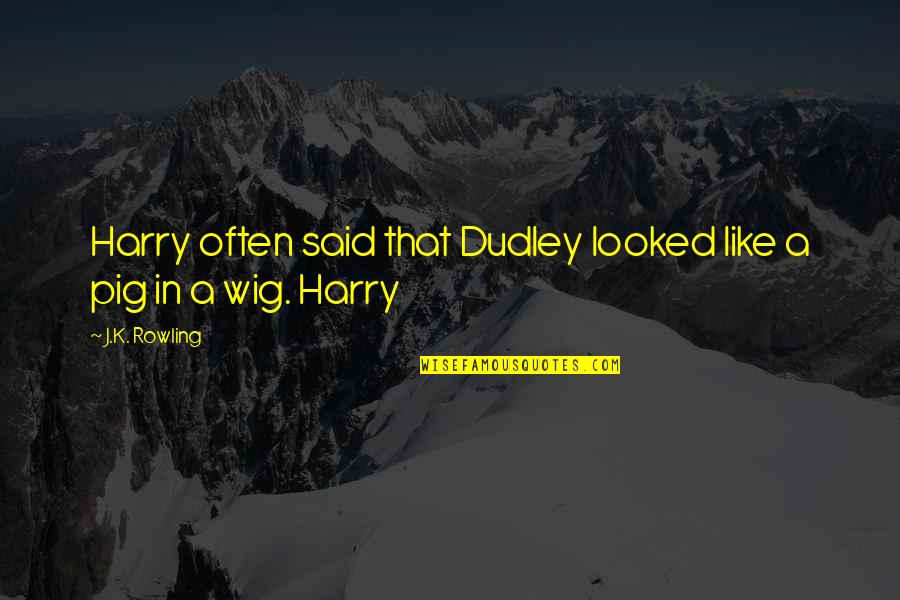 Lilacs Quotes By J.K. Rowling: Harry often said that Dudley looked like a