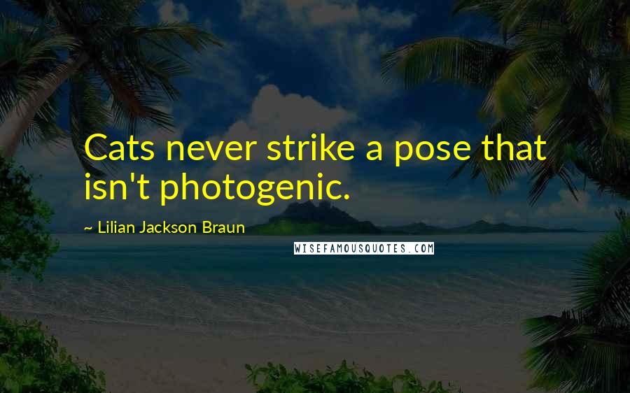 Lilian Jackson Braun quotes: Cats never strike a pose that isn't photogenic.
