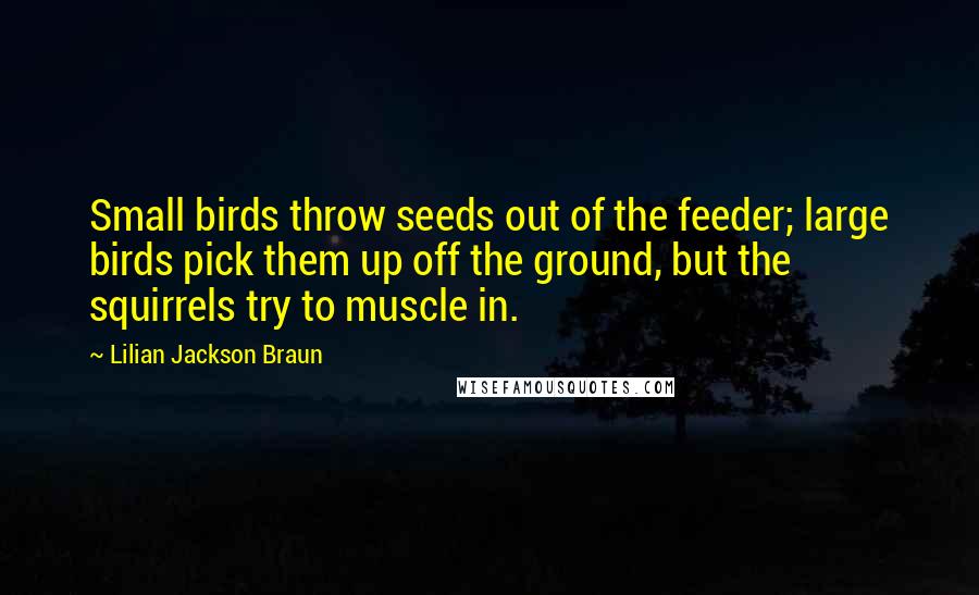 Lilian Jackson Braun quotes: Small birds throw seeds out of the feeder; large birds pick them up off the ground, but the squirrels try to muscle in. Lilian Jackson Braun quotes: Small birds throw seeds out of the feeder; large birds pick them up off the ground, but the squirrels try to muscle in.