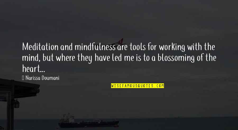 Liliane Quotes By Narissa Doumani: Meditation and mindfulness are tools for working with