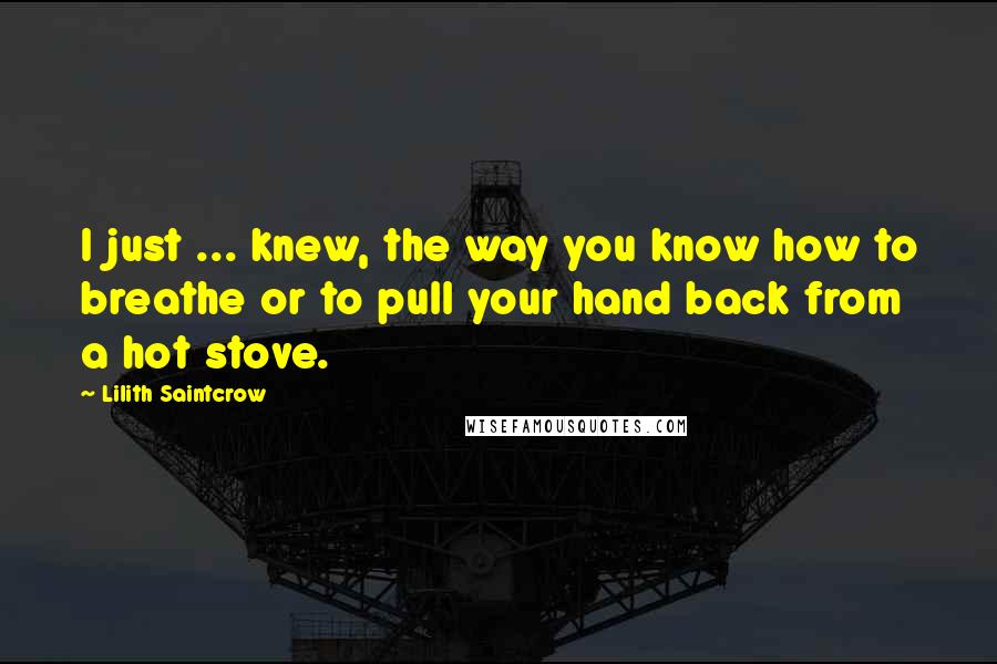 Lilith Saintcrow quotes: I just ... knew, the way you know how to breathe or to pull your hand back from a hot stove.