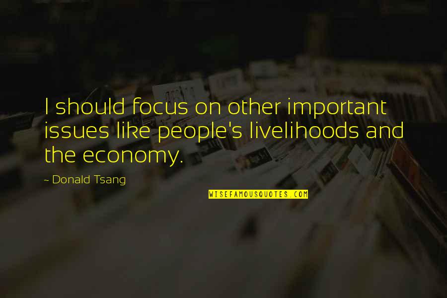 Liljendal Finland Quotes By Donald Tsang: I should focus on other important issues like