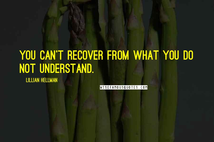 Lillian Hellman quotes: You can't recover from what you do not understand.