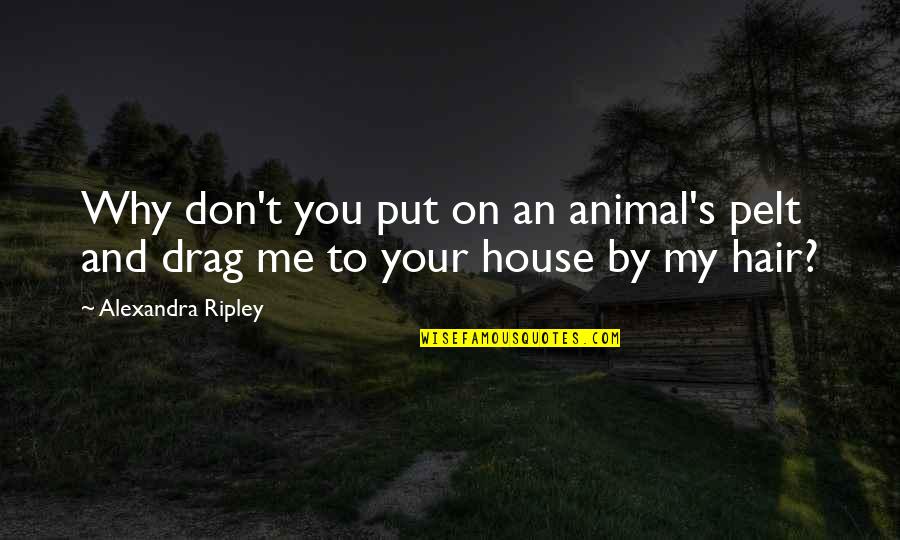 Lily Allen Lyrics Quotes By Alexandra Ripley: Why don't you put on an animal's pelt