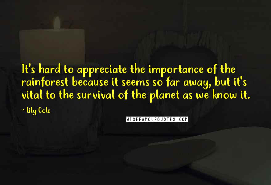 Lily Cole quotes: It's hard to appreciate the importance of the rainforest because it seems so far away, but it's vital to the survival of the planet as we know it. Lily Cole quotes: It's hard to appreciate the importance of the rainforest because it seems so far away, but it's vital to the survival of the planet as we know it.