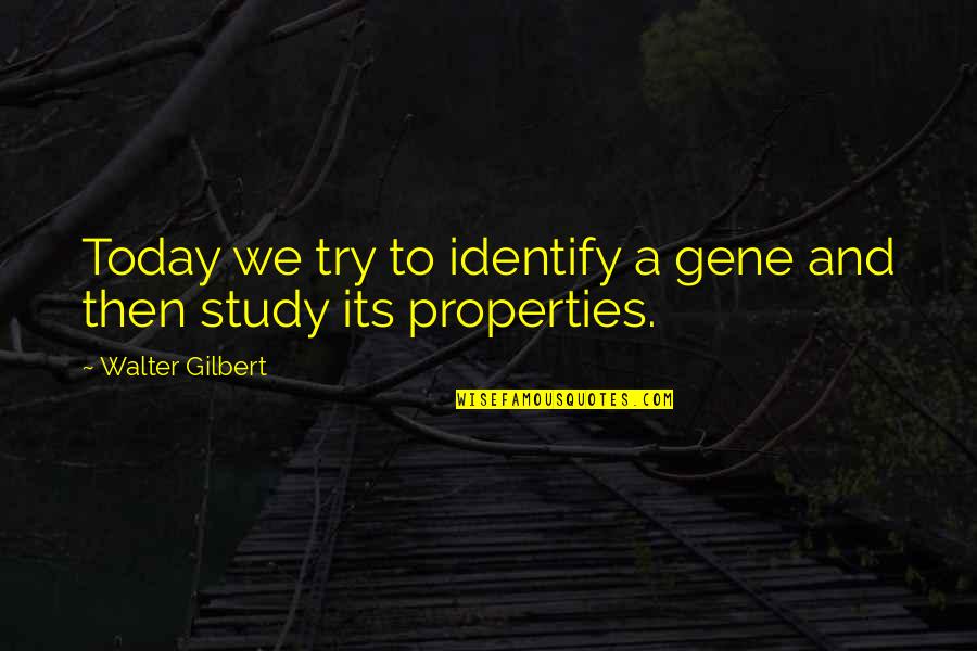 Lily Owens Quotes By Walter Gilbert: Today we try to identify a gene and