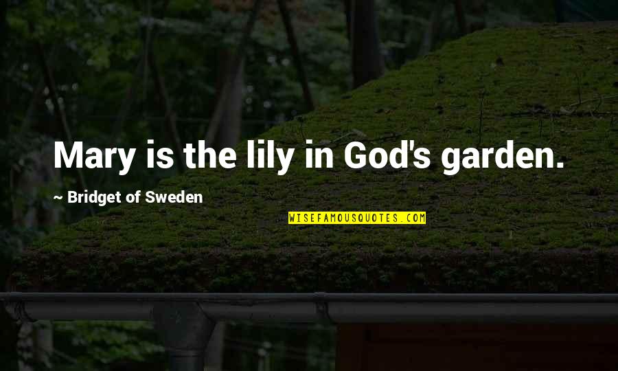 Lily's Quotes By Bridget Of Sweden: Mary is the lily in God's garden. Lily's Quotes By Bridget Of Sweden: Mary is the lily in God's garden.