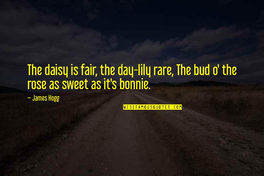 Lily's Quotes By James Hogg: The daisy is fair, the day-lily rare, The