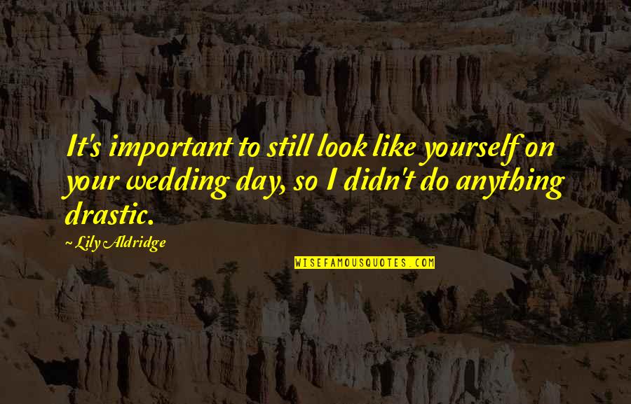 Lily's Quotes By Lily Aldridge: It's important to still look like yourself on Lily's Quotes By Lily Aldridge: It's important to still look like yourself on