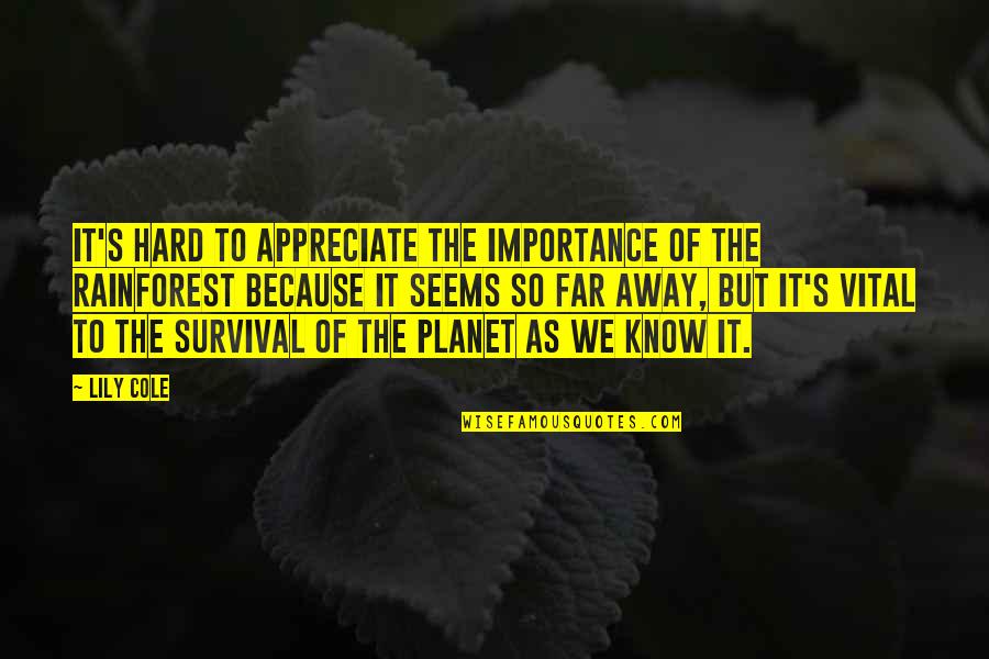 Lily's Quotes By Lily Cole: It's hard to appreciate the importance of the Lily's Quotes By Lily Cole: It's hard to appreciate the importance of the