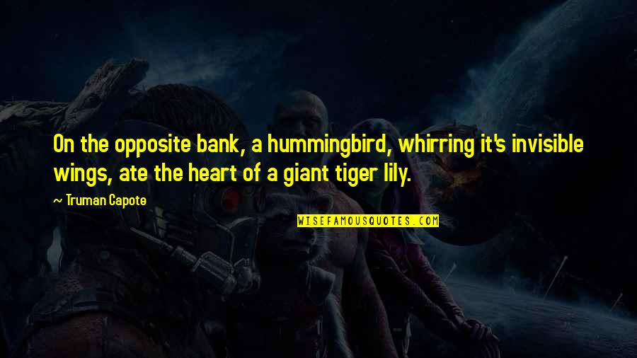 Lily's Quotes By Truman Capote: On the opposite bank, a hummingbird, whirring it's Lily's Quotes By Truman Capote: On the opposite bank, a hummingbird, whirring it's