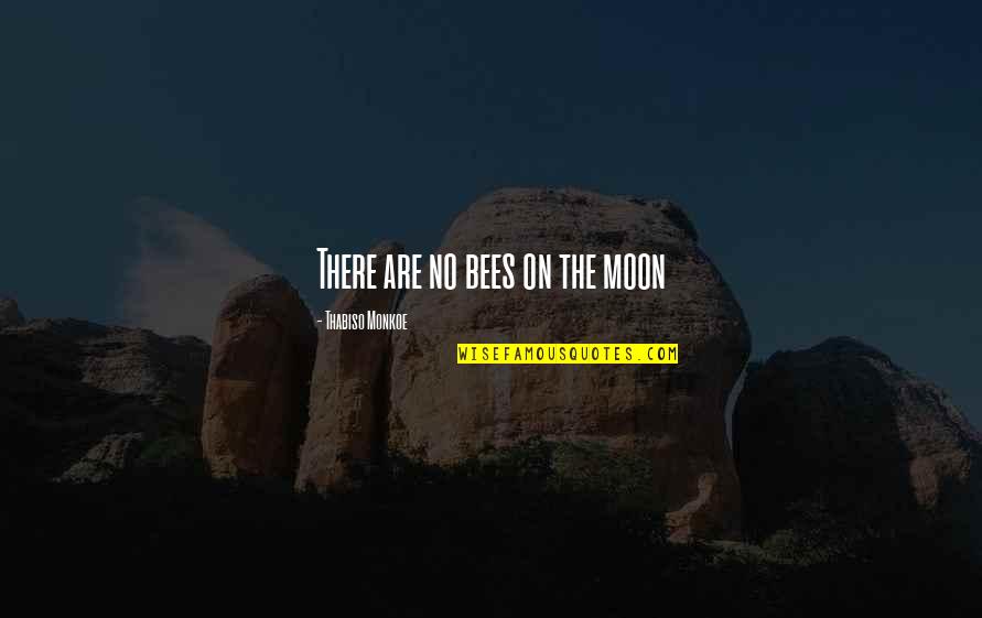 Lilyvale Cottages Quotes By Thabiso Monkoe: There are no bees on the moon