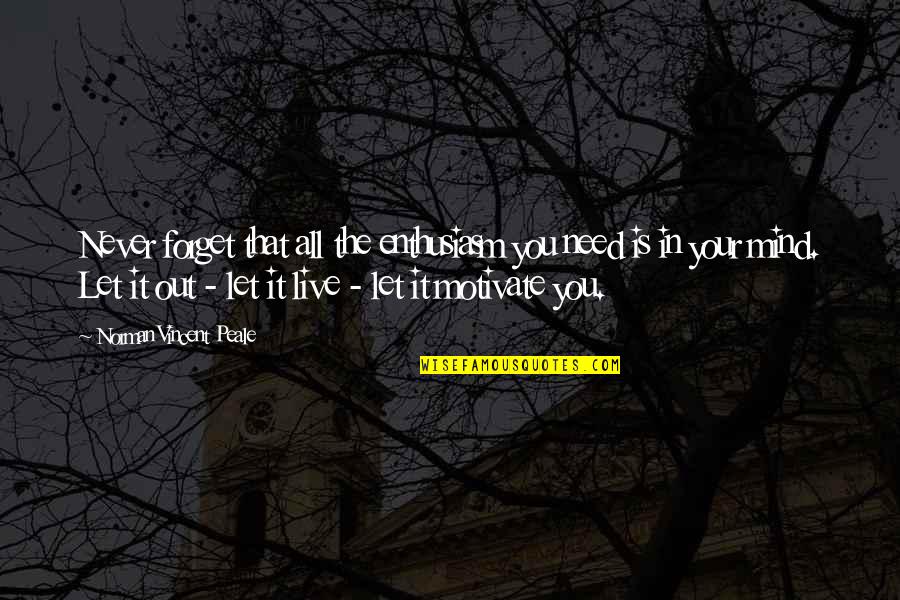 Limanda Aspera Quotes By Norman Vincent Peale: Never forget that all the enthusiasm you need
