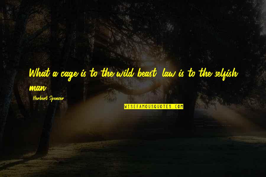 Limara Aranygaluska Quotes By Herbert Spencer: What a cage is to the wild beast,