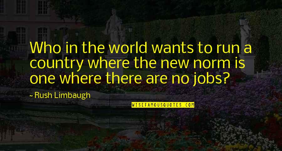 Limbaugh Quotes By Rush Limbaugh: Who in the world wants to run a