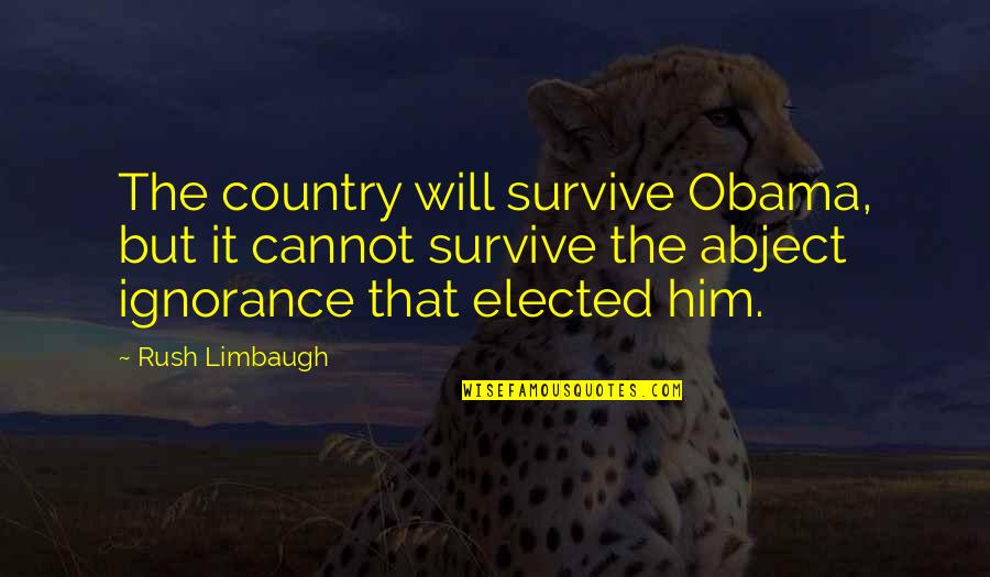 Limbaugh Quotes By Rush Limbaugh: The country will survive Obama, but it cannot