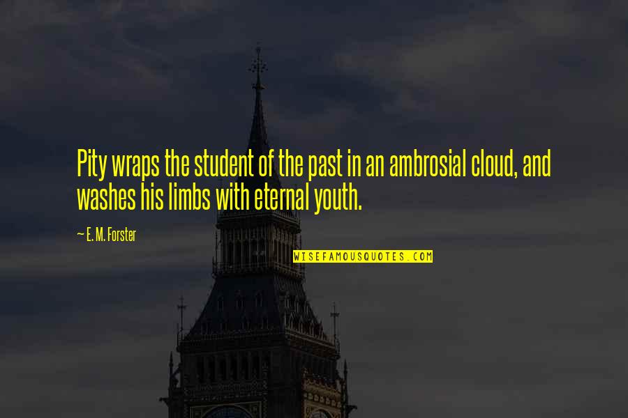 Limbs Quotes By E. M. Forster: Pity wraps the student of the past in