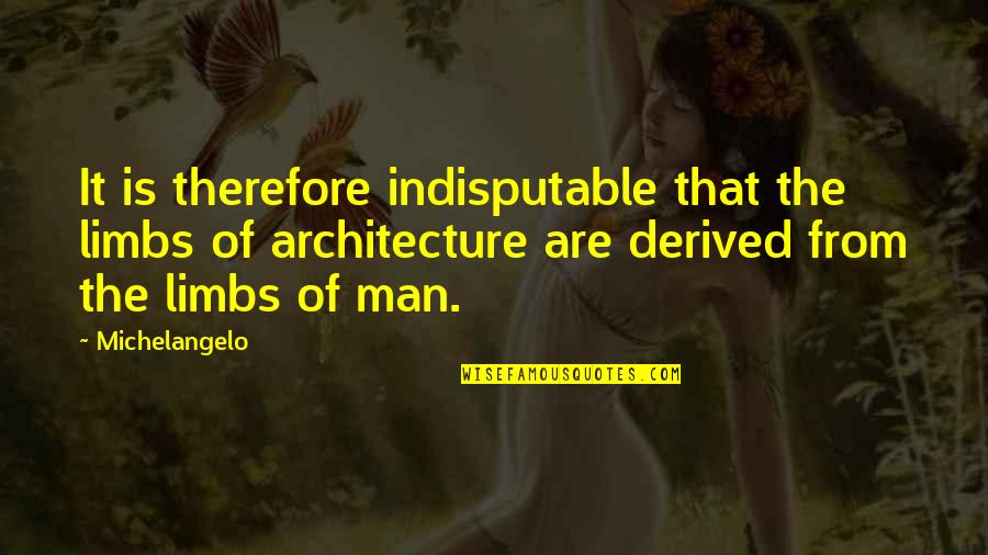 Limbs Quotes By Michelangelo: It is therefore indisputable that the limbs of