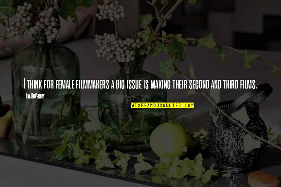 Limeade Concentrate Quotes By Ava DuVernay: I think for female filmmakers a big issue