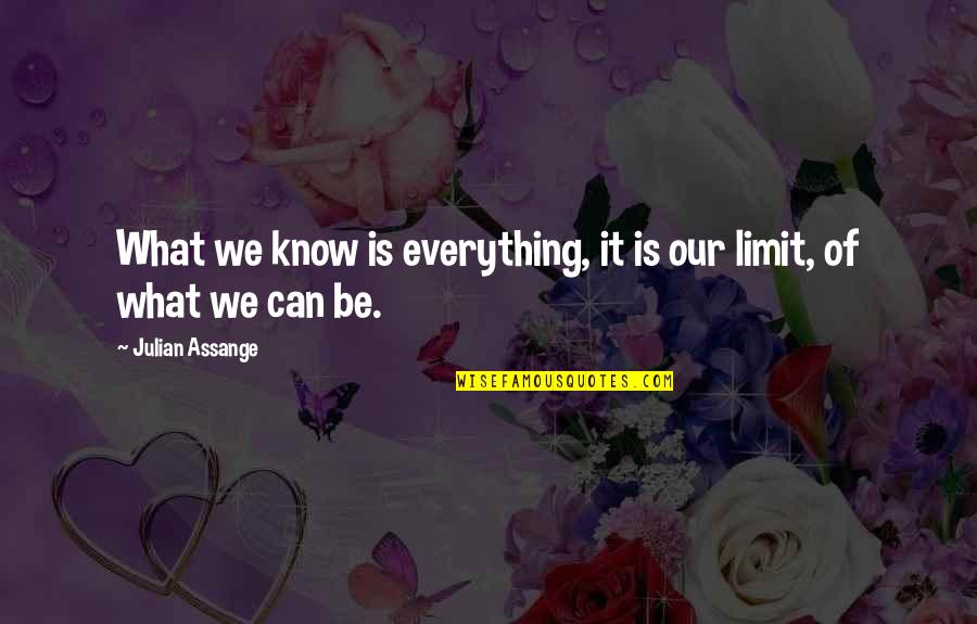 Limit For Everything Quotes By Julian Assange: What we know is everything, it is our