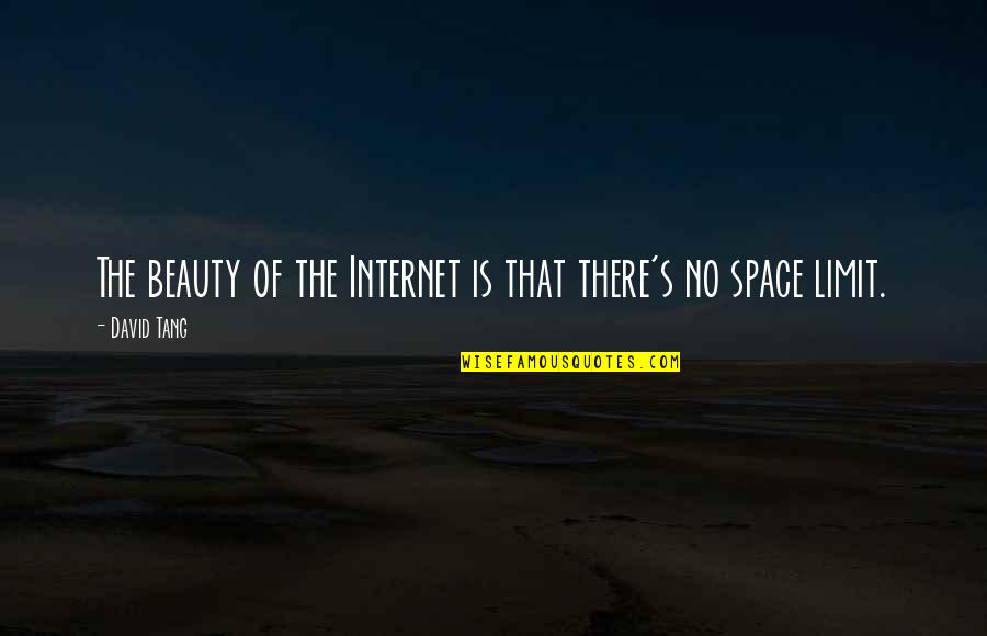 Limit Of Space Quotes By David Tang: The beauty of the Internet is that there's