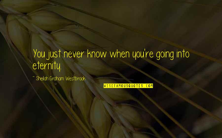 Limitado Quotes By Sheilah Graham Westbrook: You just never know when you're going into