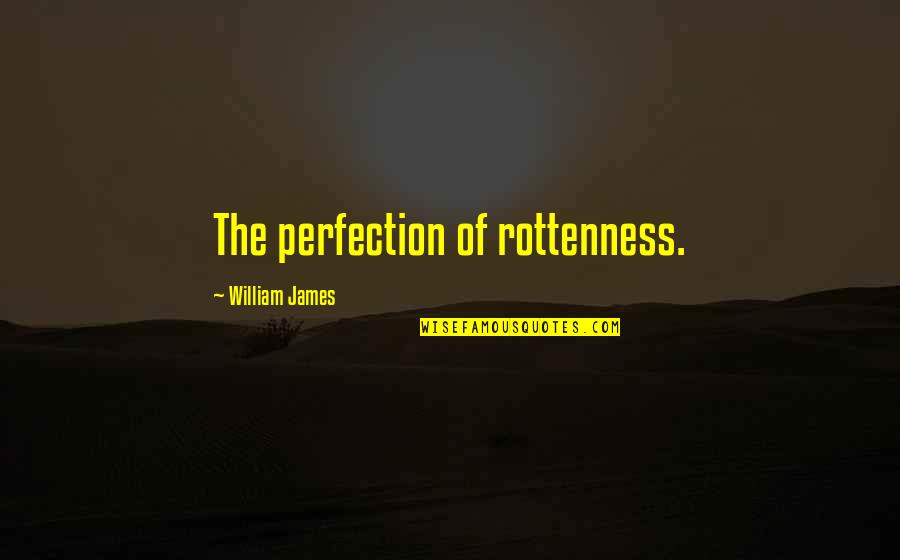 Limitations In Love Quotes By William James: The perfection of rottenness.