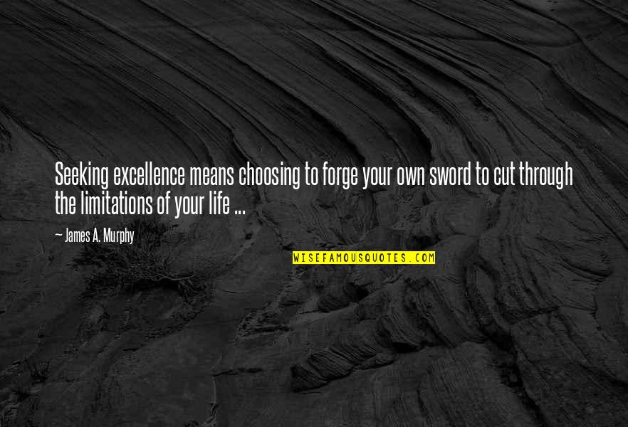 Limitations In Your Life Quotes By James A. Murphy: Seeking excellence means choosing to forge your own