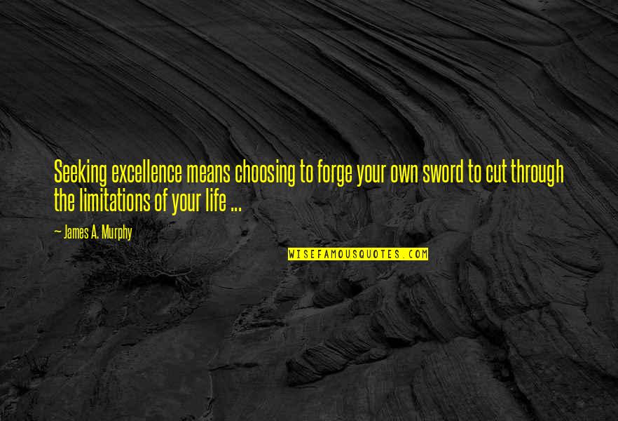 Limitations On Life Quotes By James A. Murphy: Seeking excellence means choosing to forge your own