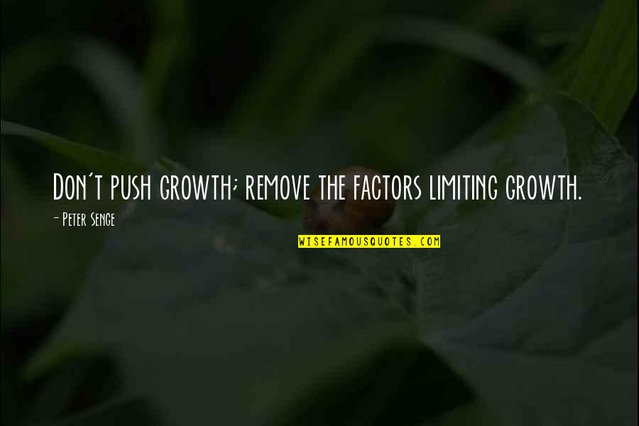 Limiting Quotes By Peter Senge: Don't push growth; remove the factors limiting growth.